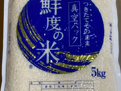 《お得❗️》農薬を使わないお米　コシヒカリ15kg【白米】