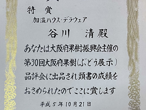 家庭用デラウェア・約1.2kg