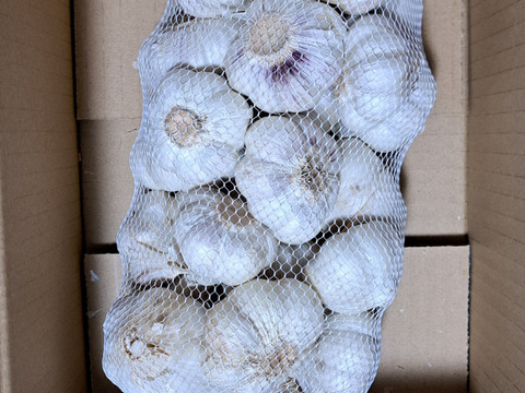 【数量限定品】令和８年産　阿蘇・西原村産にんにく500g❗阿蘇外輪山の豊富な地下水と豊かな自然環境で収穫した、濃厚な味わいのにんにくです。（自然乾燥）