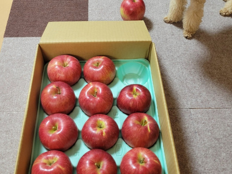 【今が旬】果汁たっぷり(º﹃º`)シナノスイート（5kg）