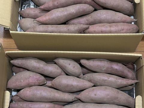 【厳選！5kg弱×2箱】ねっとり濃厚、密たっぷり熟成さつまいも🍠「べにはるか」（S/Mサイズ混合お任せセット）