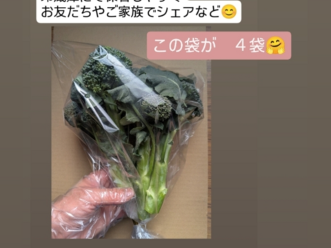 春ブロッコリーの側枝