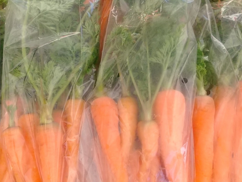 葉つき人参1.4kg、農薬化学肥料除草剤不使用：神奈川県産の