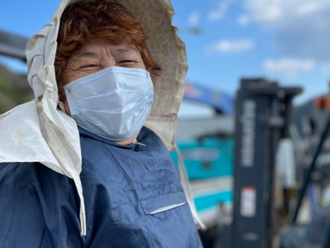 お買い得！ 九州産乾燥あおさのり　アオサ　２００ｇ【お徳用・業務用】