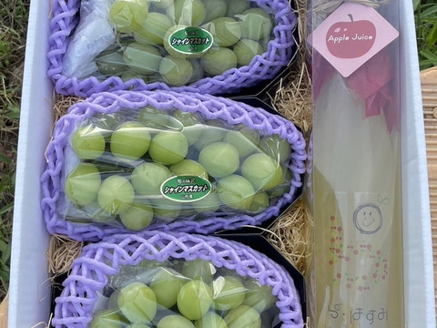 ★パリパリ食感★シャインマスカット★（４５０ｇ～５００ｇ）★自家製りんごジュース５００ｍｌ詰め合わせセット