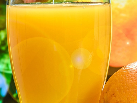 【数量限定☆希少の高級柑橘🎁】早香２㎏🍊～酸味少なく甘さたっぷり！ ～