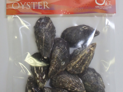 【冷凍殻付き生食用牡蠣】大分中津のブランド牡蠣ひがた美人10粒（Mサイズ：1粒40ｇ程度）