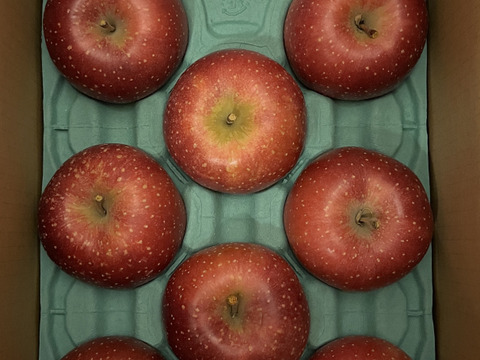 2026年度産予約開始🙇このりんご絶対食べて欲しい‼️甘くて芳醇な香り🍎千雪りんご6キロ