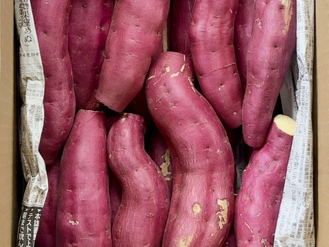 訳ありでも美味しい‼︎ホクホク系「紅あずま」色々なサイズ入り  5キロ箱