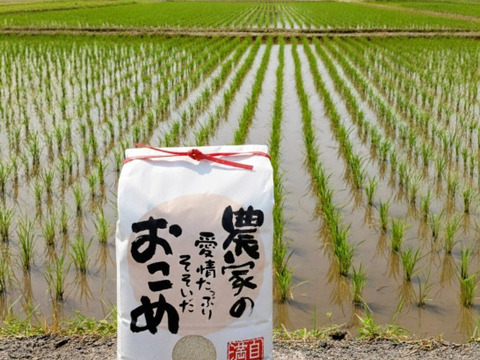 【令和７年新米】新米コシヒカリ【５ｋｇ】千葉県南房総市産