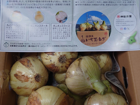 【祝!3年連続金賞🏆】淡路島新玉ねぎ3kg
