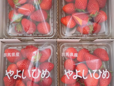 🤩チビッコ やよいひめ🤩小粒『群馬いちご』320g×4p