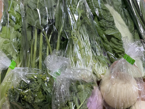 売上第１位❗️☆畑直送☆【福岡県糸島産】朝獲れ＊無NO薬野菜セット(10品前後)【糸島市ふるさと納税出品商品】