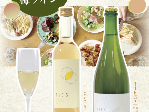 新定番！料理がおいしい梅ワイン　自然栽培の梅100%使用(無添加)
Japanese apricot sparkling wine 'TIES+' 750ml