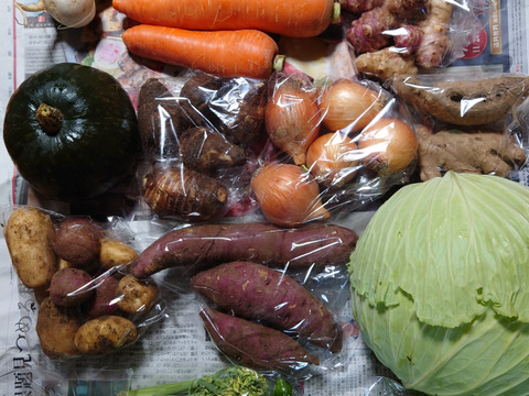 旬の野菜15種類詰め合わせセット