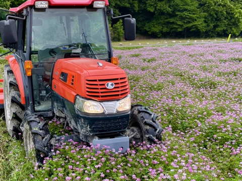 令和7年度新米。岡山県産　朝日蓮華米
【約4.5kg】特別栽培米。大粒のふんわり香りもしっかり白米。予約販売中