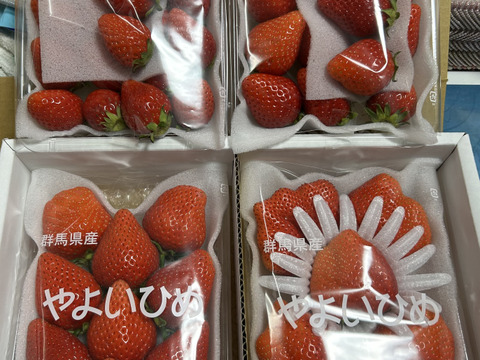 大粒も小粒も食べた～い💞やよいひめ『群馬いちご』320g×4トレー