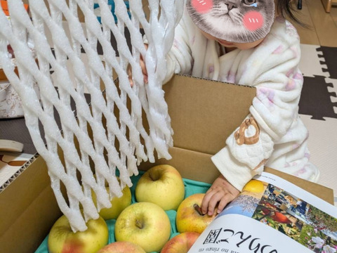 食べた時の甘みが病みつきになる！家庭用ぐんま名月3kg