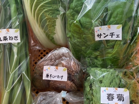 【数量限定☆希少の柑橘セット🎁】甘さいっぱい！お得いっぱい！野菜果物詰め合わせ箱☆🥗🍠🥦＋和歌山産せとか付き🍊🍋高級みかんの大トロ