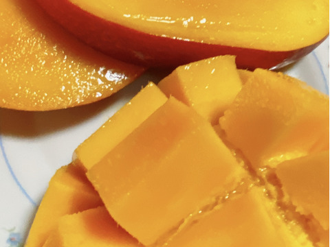 【マンゴーの日セール 7/10-7/15】家庭用マンゴー(約１Kg／３玉)