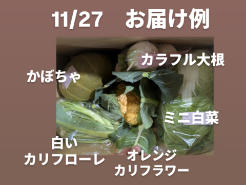 🎃🍁秋の野菜セット🍁🎃