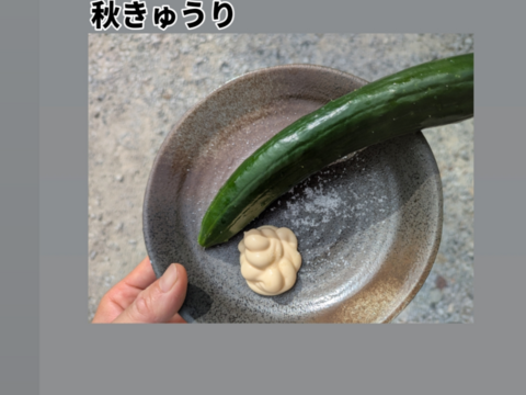 🎃🍁秋の野菜セット🍁🎃