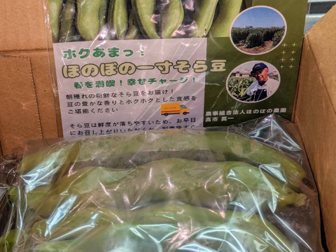 ほくほく深～い味わい❗朝穫れ❗1㎏「そら豆（さや付き）」
