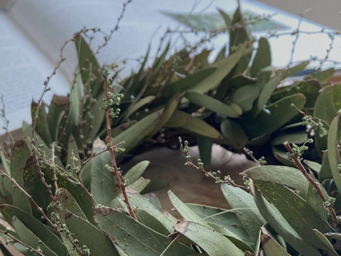 ✴︎スワッグにいかが？ユーカリ２種のボリュームセット✴︎