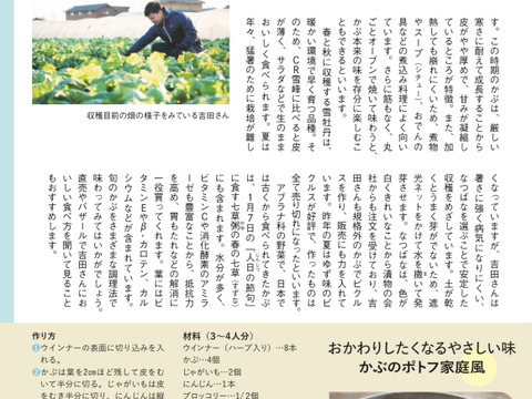 石井食品おまけ付　多数メディア出演！「彩の国のかぶ」約3kg　川越市品評会特別賞受賞