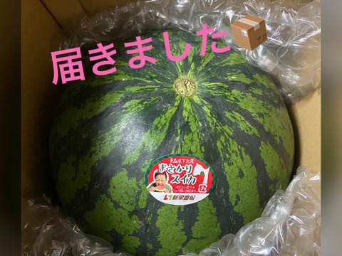 おそらく今期ラスト！！甘い旨いスイカ　大玉　6㌔-8㌔　本州最北端　まさかりすいか