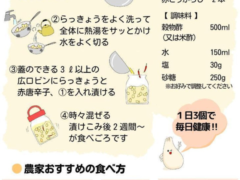 【鳥取県産】らっきょう 洗いらっきょう 鳥取 砂丘らっきょう らっきょ 2kg