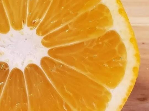段々畑の甘夏🍊『ご家庭用』3.5kg