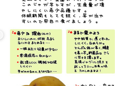 新じゃがピルカは、大きくずっしり詰め合わせ。約3キロプラス希少じゃがインカの目覚目、2キロ