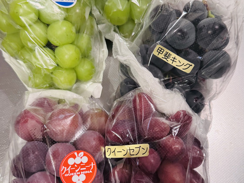 【福袋2025】3~5品種お楽しみ♪ ぶどう詰め合わせ＜シャイン1房は確約＞