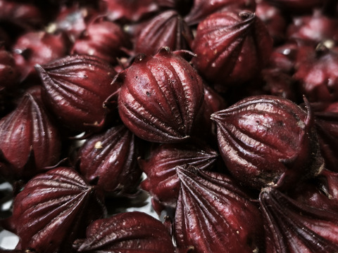 豆乳で育ったローゼル　1袋1kg　5袋まで同梱可能