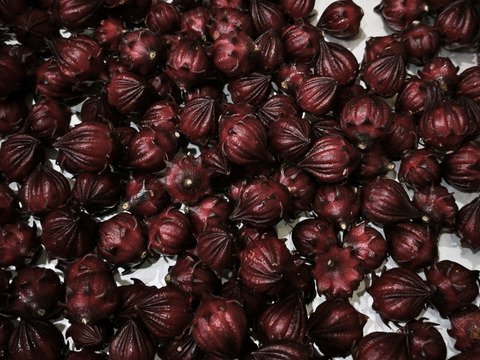 豆乳で育ったローゼル　1袋1kg　5袋まで同梱可能