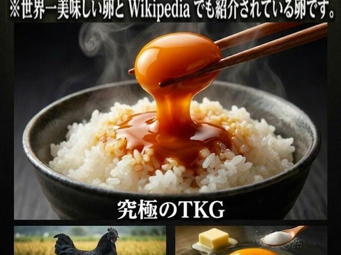 【食べ比べ】希少な烏骨鶏＆濃厚黒どりネラ 16個＋破卵保証4個（計20個）