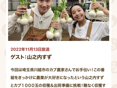 石井食品おまけ付　多数メディア出演！「彩の国のかぶ」約3kg　川越市品評会特別賞受賞