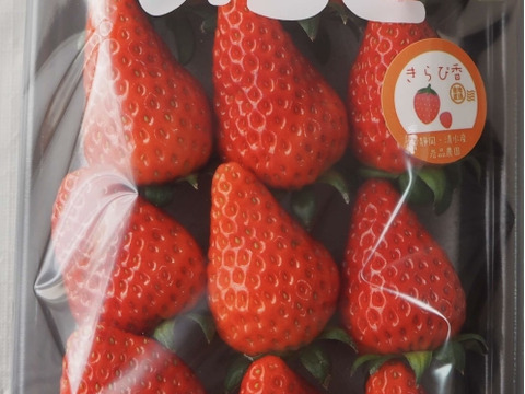 朝採り完熟いちご！！静岡県の新品種『きらぴ香』2パック、『紅ほっぺ』2パック食べ比べセット　260×4パック