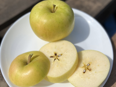 青森県産りんご　トキ　家庭用3㎏【6〜14個】