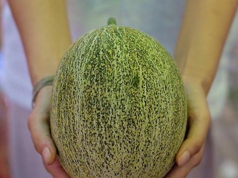 自然流栽培　日本で唯一のオリジナル・オーガニックメロンSサイズ(家庭用)