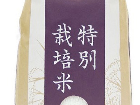 贈答用『にこまる』 玄米5kg