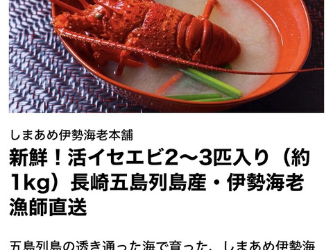 【長崎・五島列島直送】天然 活伊勢海老1kg（2〜4尾）離島の綺麗な海が育んだ「うまみと甘み」 漁師直送の鮮度をご家庭に