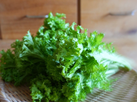 南阿蘇の2月の野菜セット【7品前後】農薬等不使用栽培