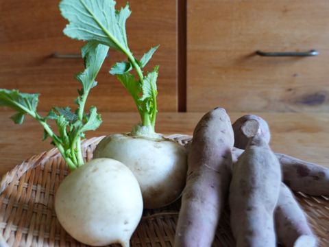 南阿蘇の2月の野菜セット【7品前後】農薬等不使用栽培