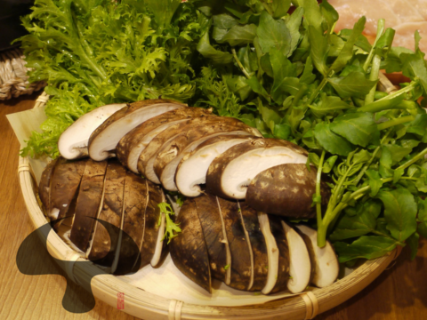 【人気品種115/山のアワビ】原木生しいたけ 約900g 原木椎茸