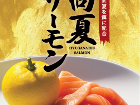 包丁まな板いらず！溶かしてそのまま食べれる【「日向夏サーモン」お刺身用スライス！】(冷凍真空パック)×3p