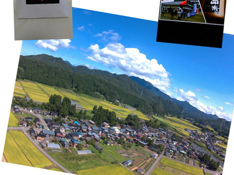 10月上旬発送 令和7年産 新米 特別栽培米 幻のコシヒカリ10k白米