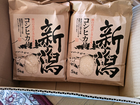 🎯新米受付🌅朝市限定5%off🌅5000円🌾5kg×2🍚10kg🌾お米ソムリエ監修🌾令和6年新潟県五泉市四ヶ村産🌾特栽米コシヒカリ🙋なんと😲❇️5000円❇️激安特価‼️