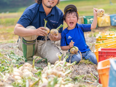 【夏限定】３ｋｇ　生でサクっと甘い　熟成サラダ玉ねぎ「熟れっ玉」（M-Lサイズ）
